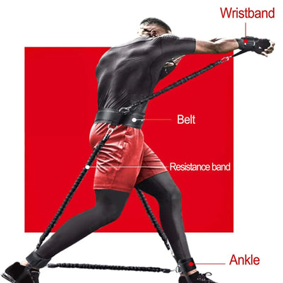 PowerBand Pro